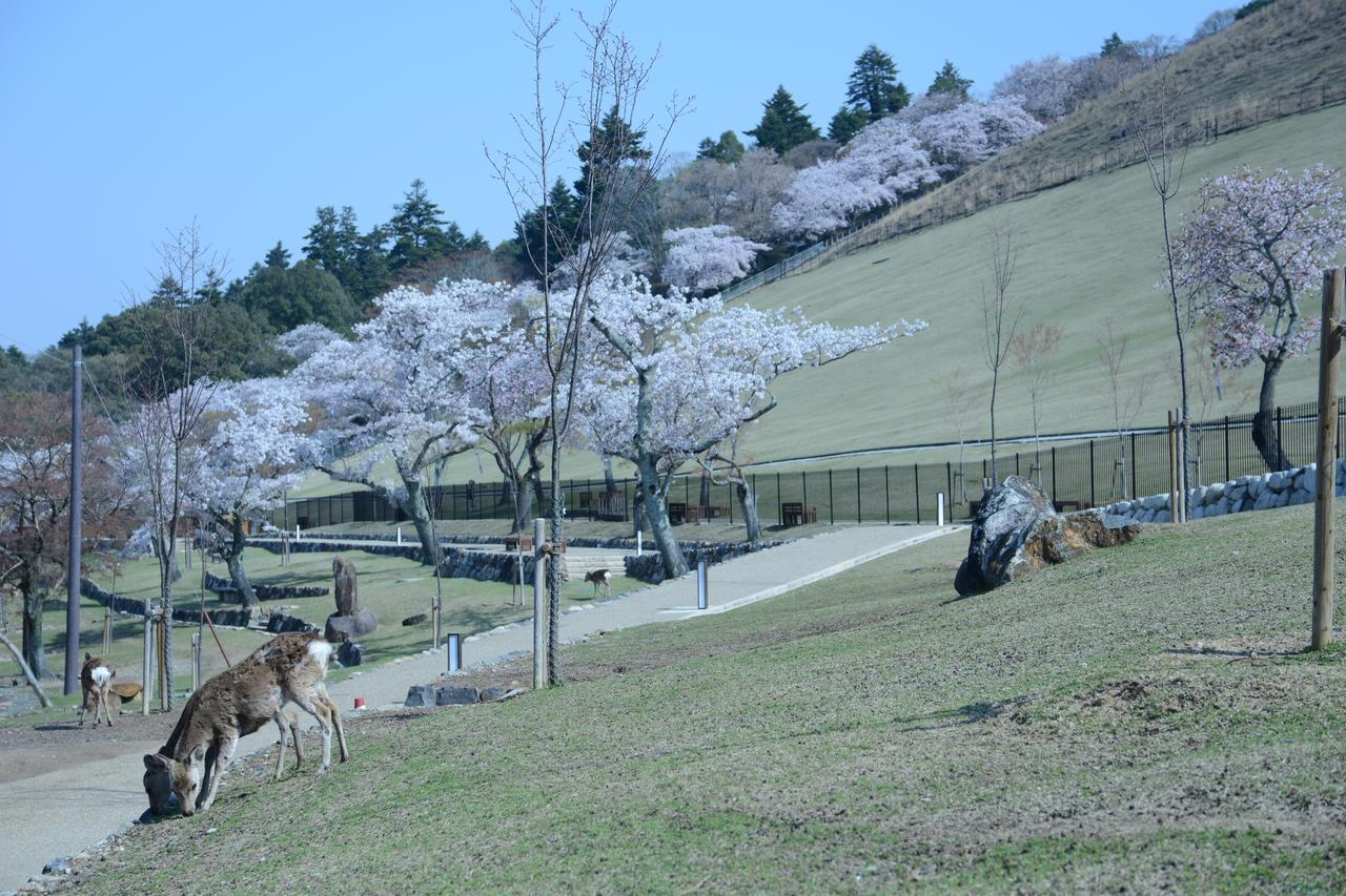 Mountain Home Lodge In Deer Park Nara Exterior foto